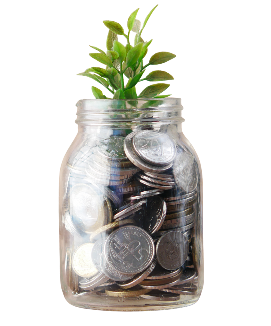 Fixed Deposit Growth